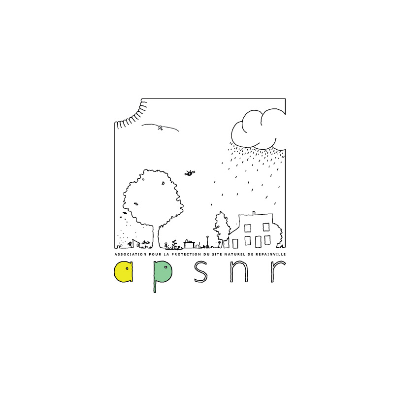 bomsky - graphisme - logo APSNR